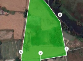 Cần bán đất 10.000m2 xã Quy Đức bình Chánh 100m mặt sông